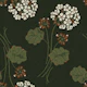 White Geranium on Deep Green