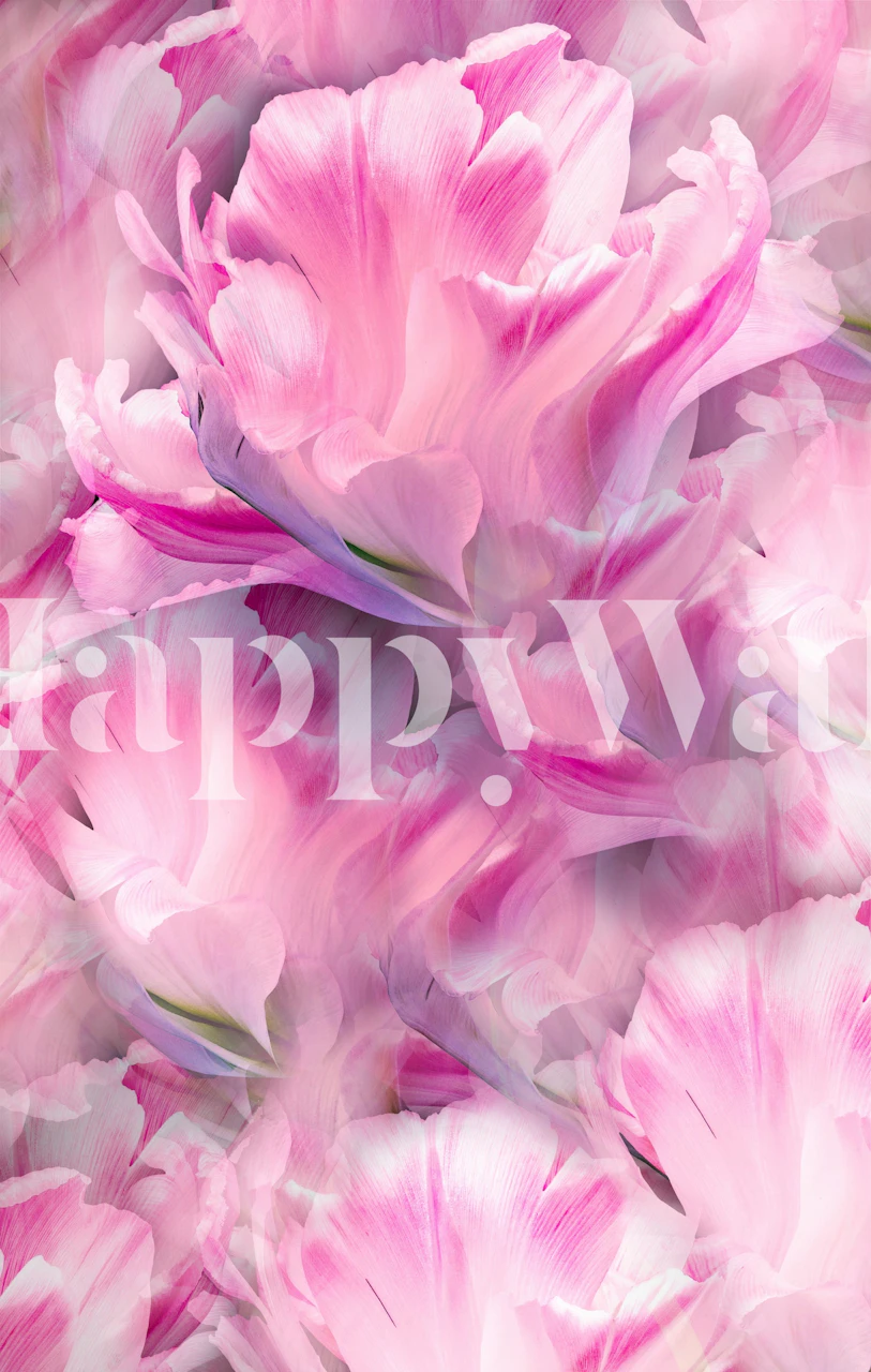 Vibrant pink tulip wallpaper in a room