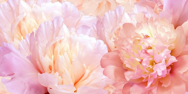 Delicate Peony Garden