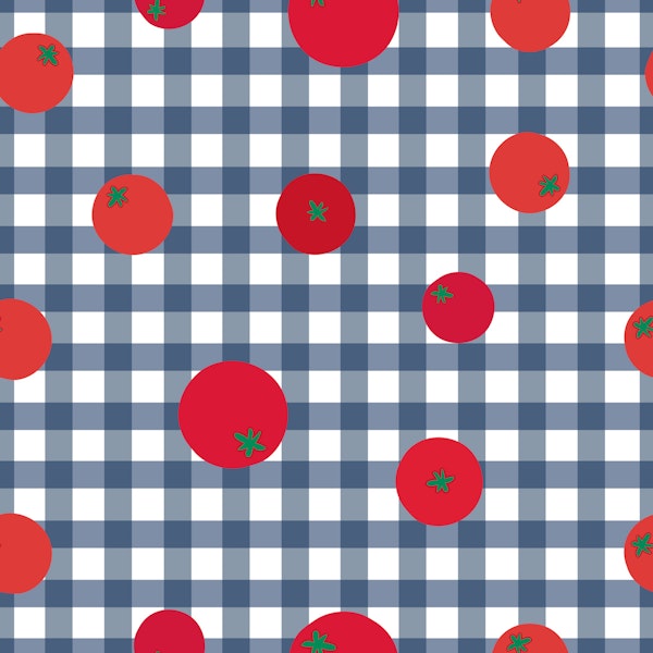 Tomato Gingham Picnic