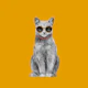 Summer Cat II