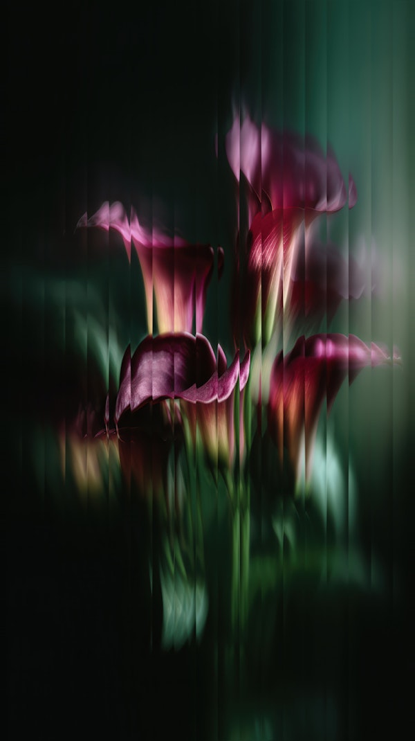 Moody Lilies in Motion
