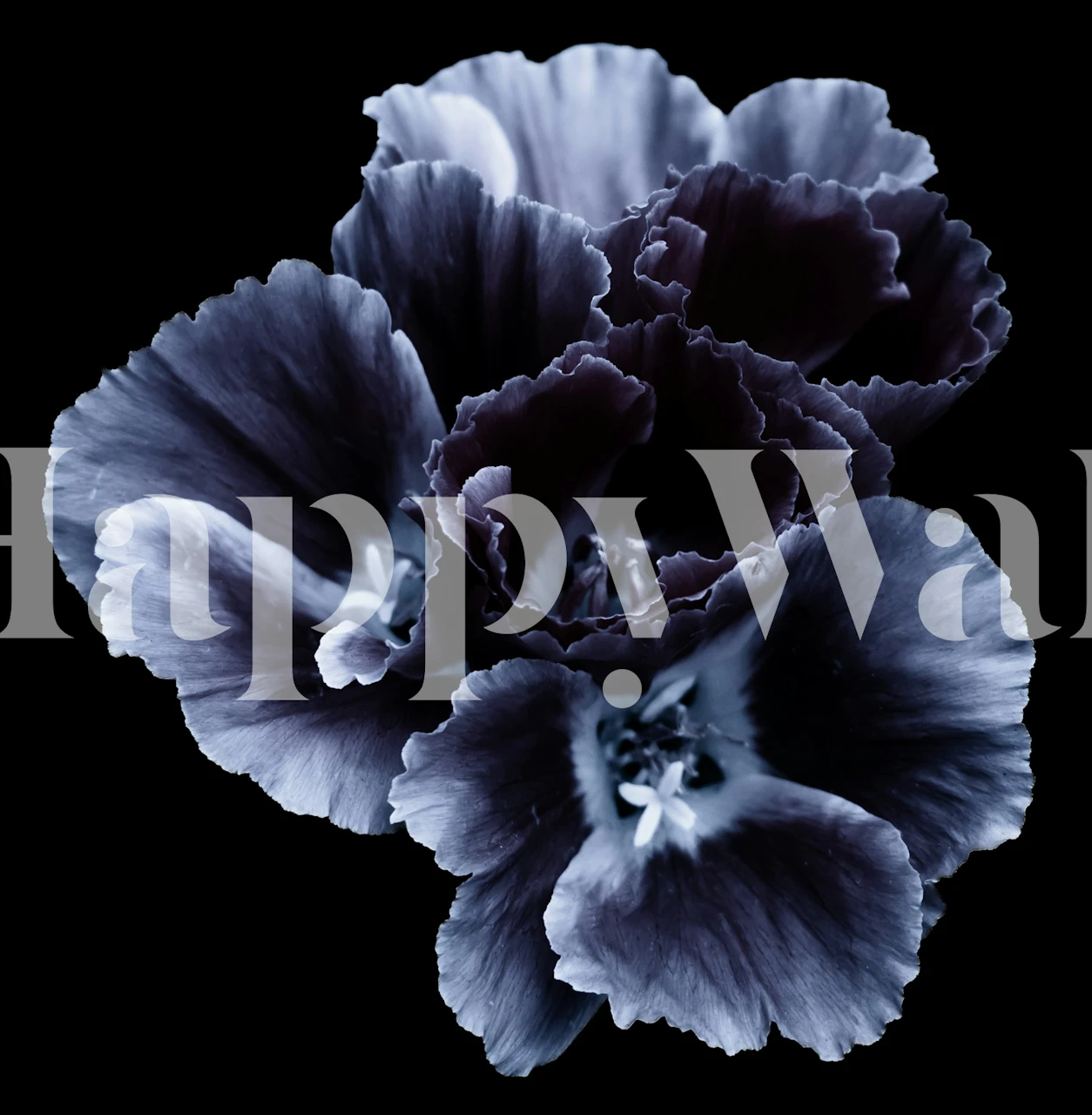 Stylish dark blossom wallpaper design