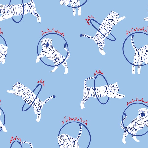 Circus Tigers