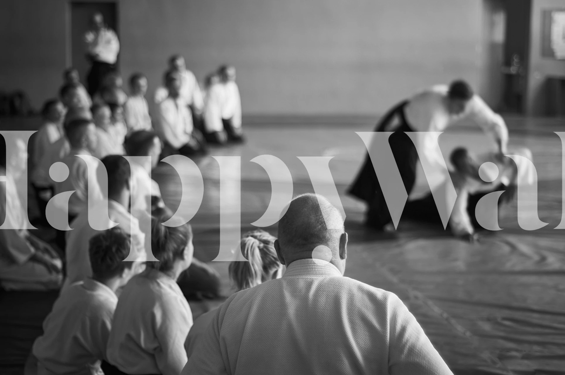 Tapeta za aikido trening u sobi