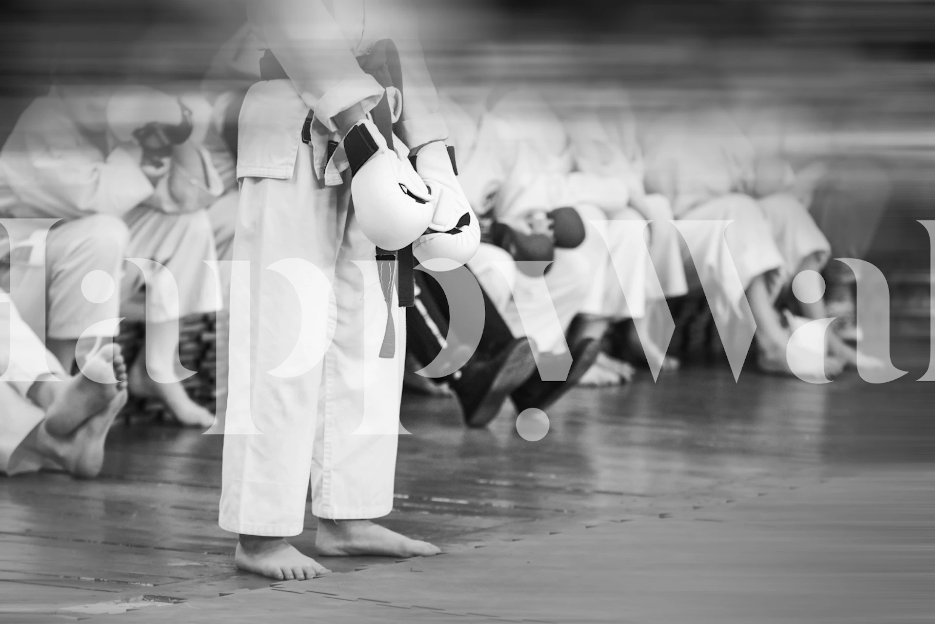 Dizajn tapete za karate trening u sobi