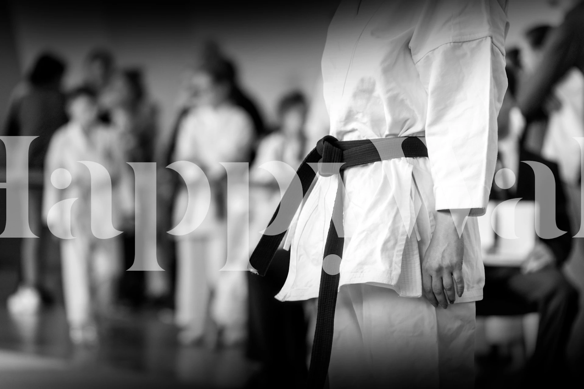 Black Belt in Training tapeta u sobi