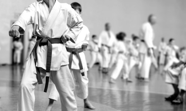 Energetic Karate Class