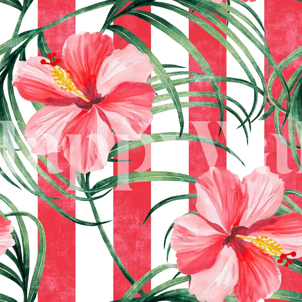 Tropical Hibiscus Red Stripes wallpaper in room