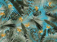 Bird of Paradise Jungle 4 wallpaper