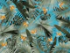 Bird of Paradise Jungle 4