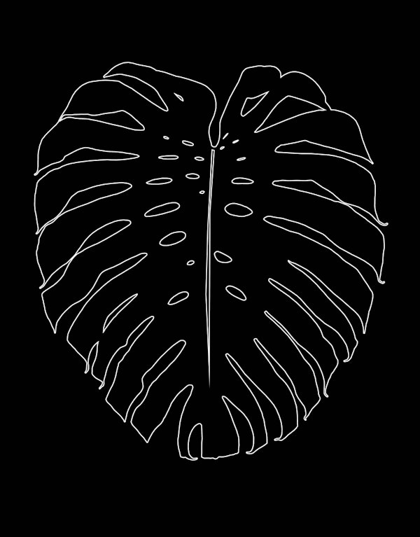 Monstera Leaf Line Art 3