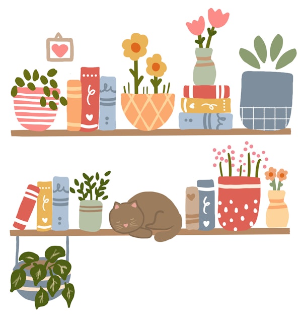 Books and Plants Bookshelf