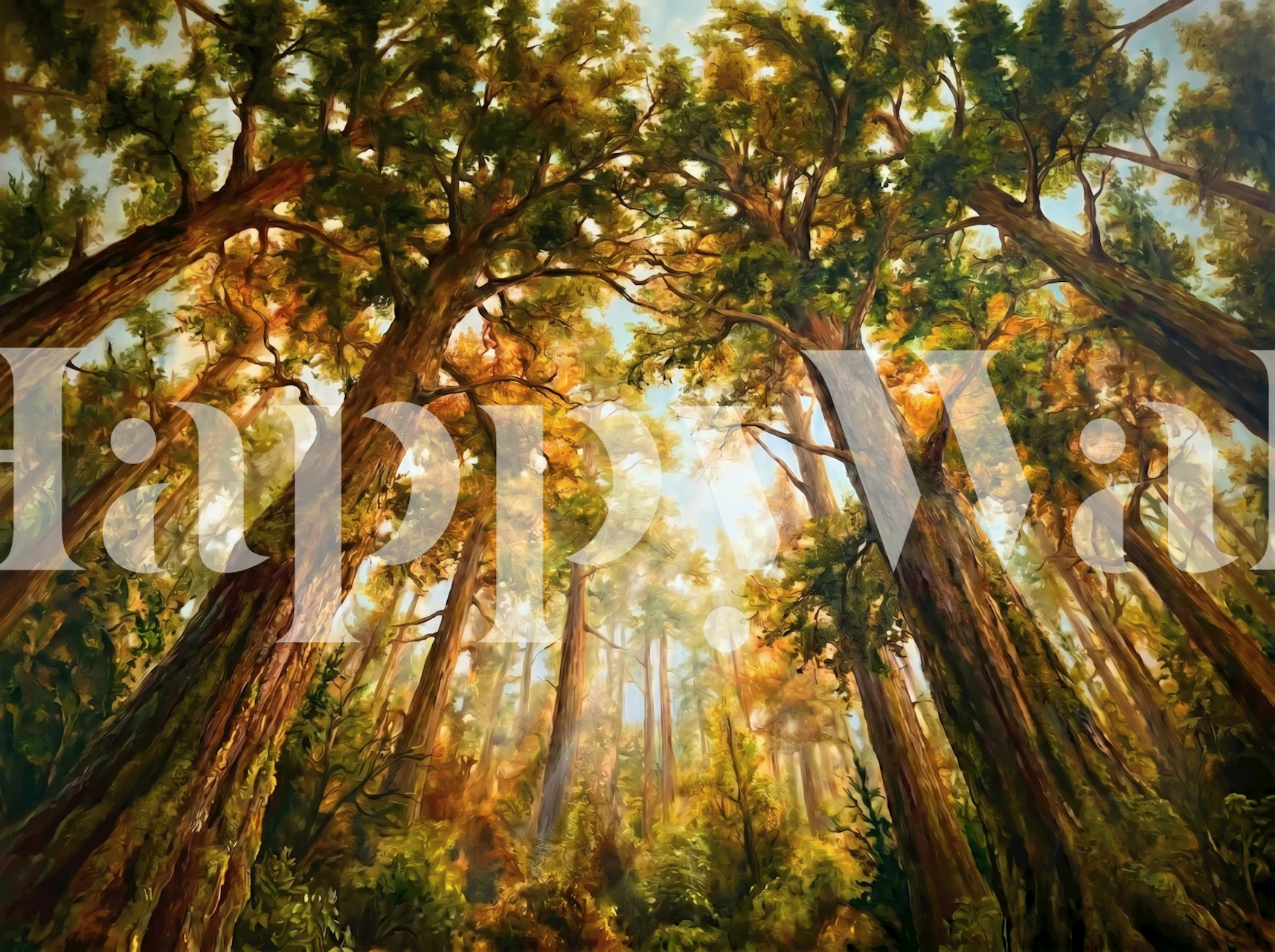 Sunlit Forest Canopy View tapete