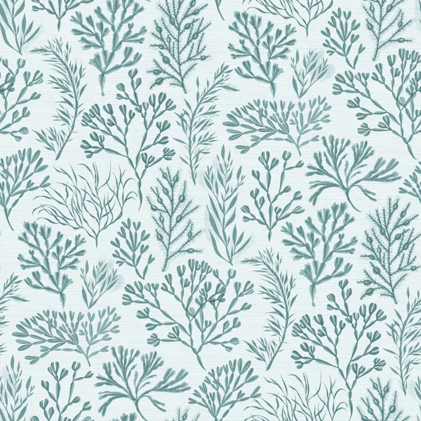 Aqua Seaweed Botanical Large