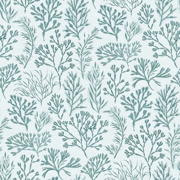 Aqua Seaweed Botanical Extra Large