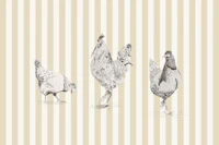 Chickens and rooster on stripes - beige tapete