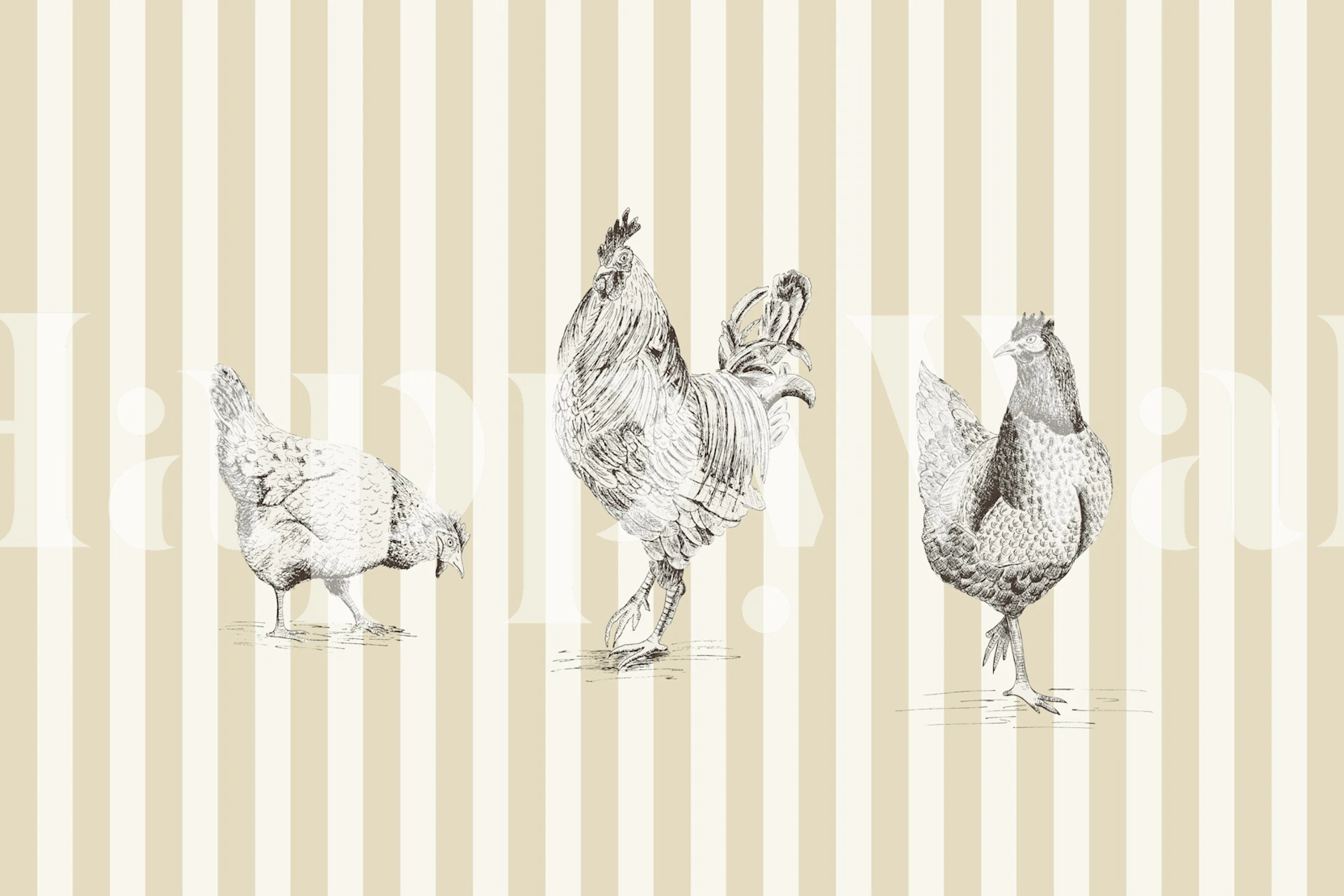 Chickens and rooster on stripes - beige tapet