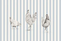 Chickens and rooster on stripes - light blue tapete