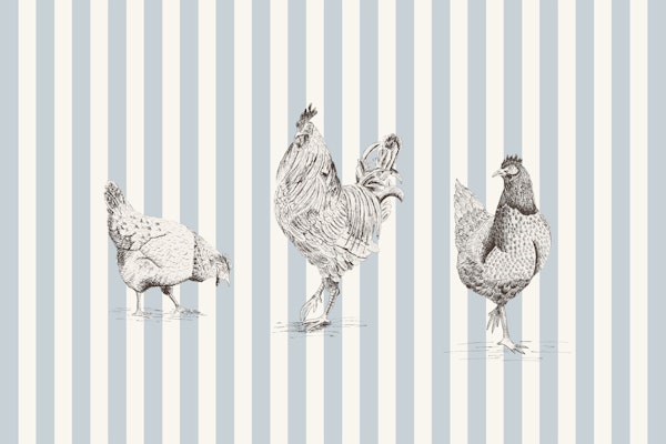 Chickens and rooster on stripes - light blue