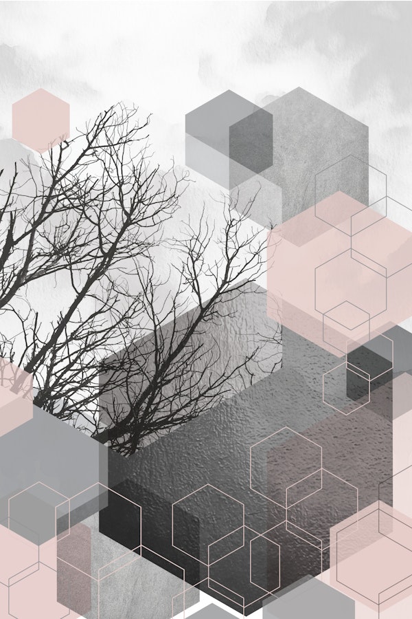 Blush Gray Hexagon Forest