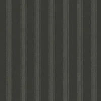 Charcoal Gray Dotted Stripes tapeet