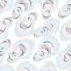 Watercolor Oyster Shells on Crisp White