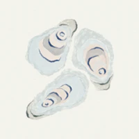 Watercolor Oyster Shells wallpaper
