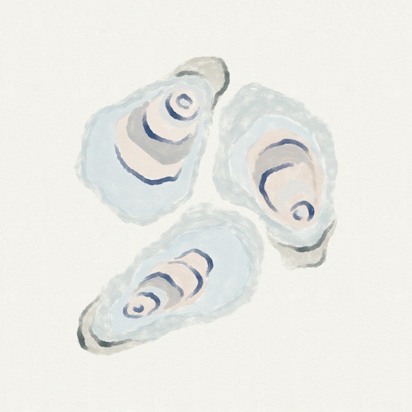 Watercolor Oyster Shells