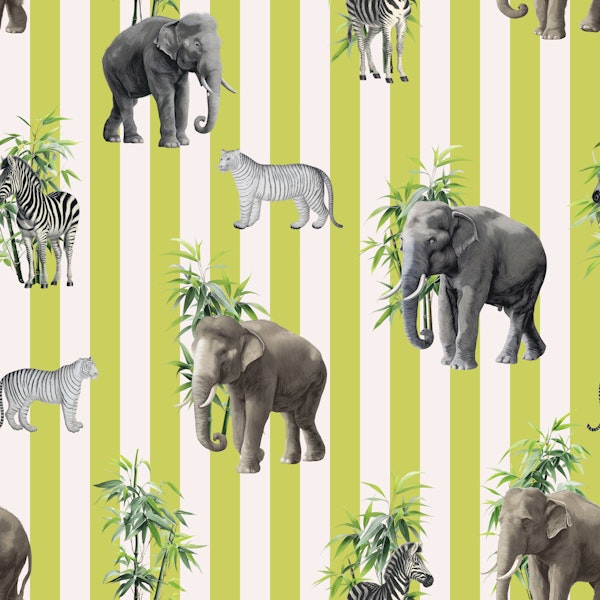 Safari Life