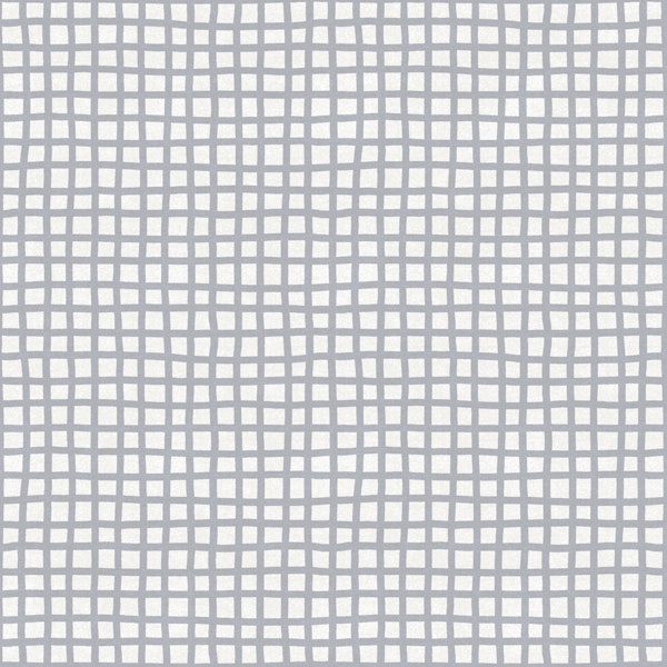 Soft Blue Gray Gingham Grid