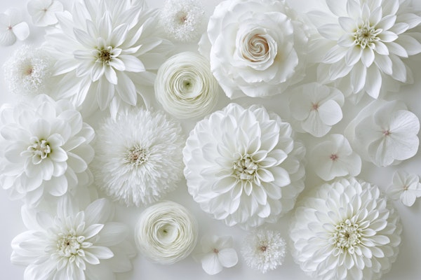 Elegant White Flatlay Botanical Elegance