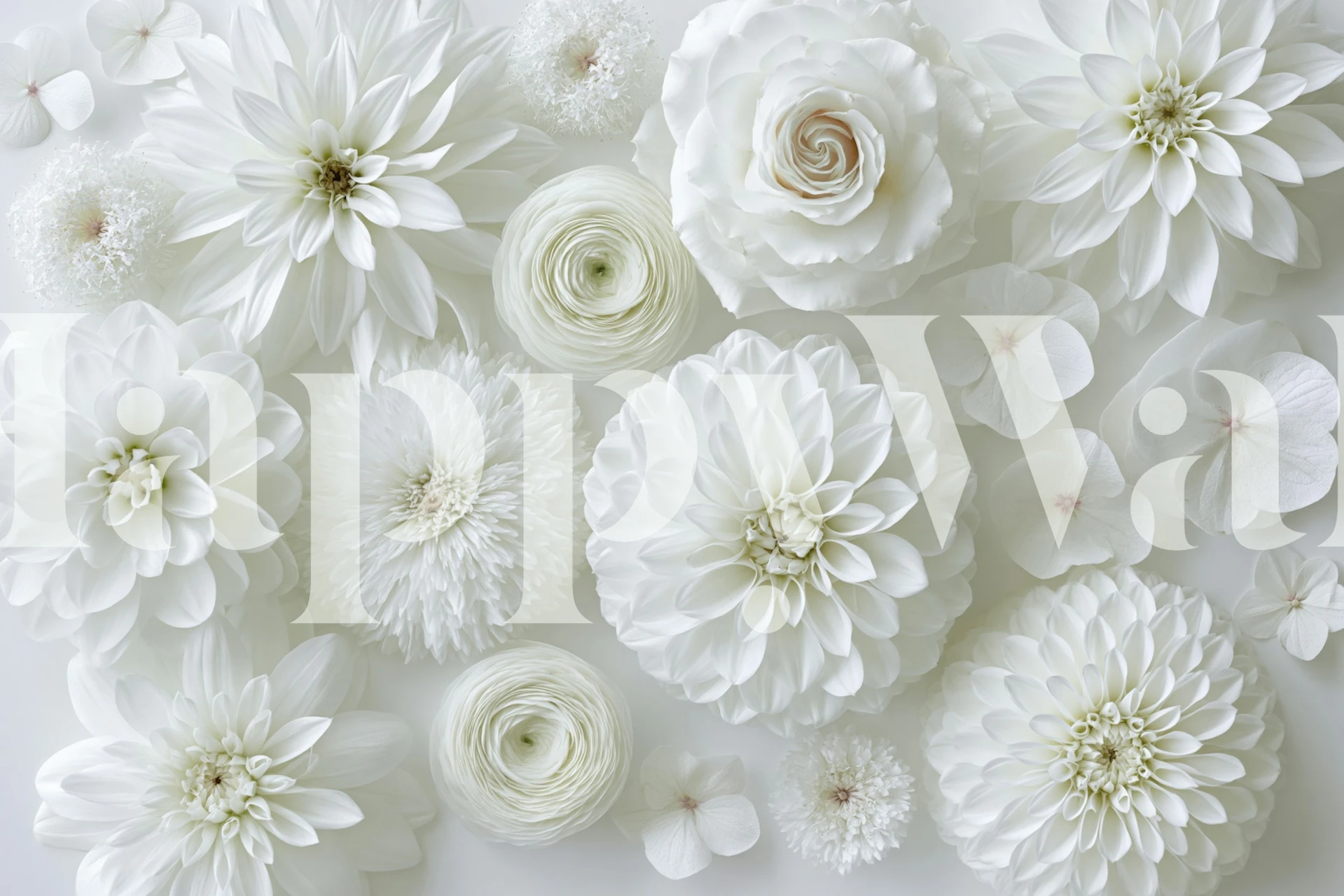 Elegant white floral wallpaper design in a room