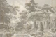 Ancient landscape