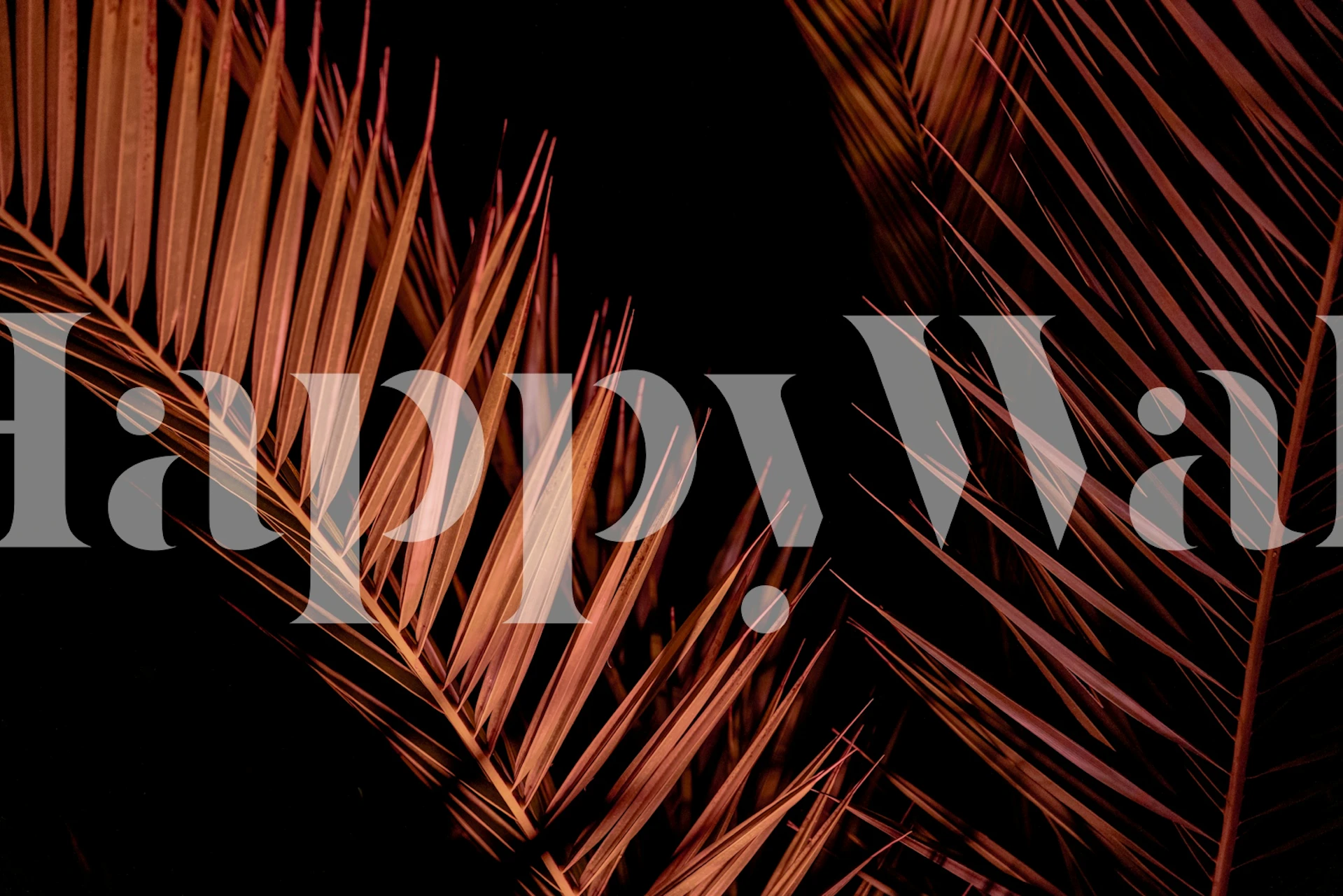 Palm Trees in the Night 4 wallpaper design