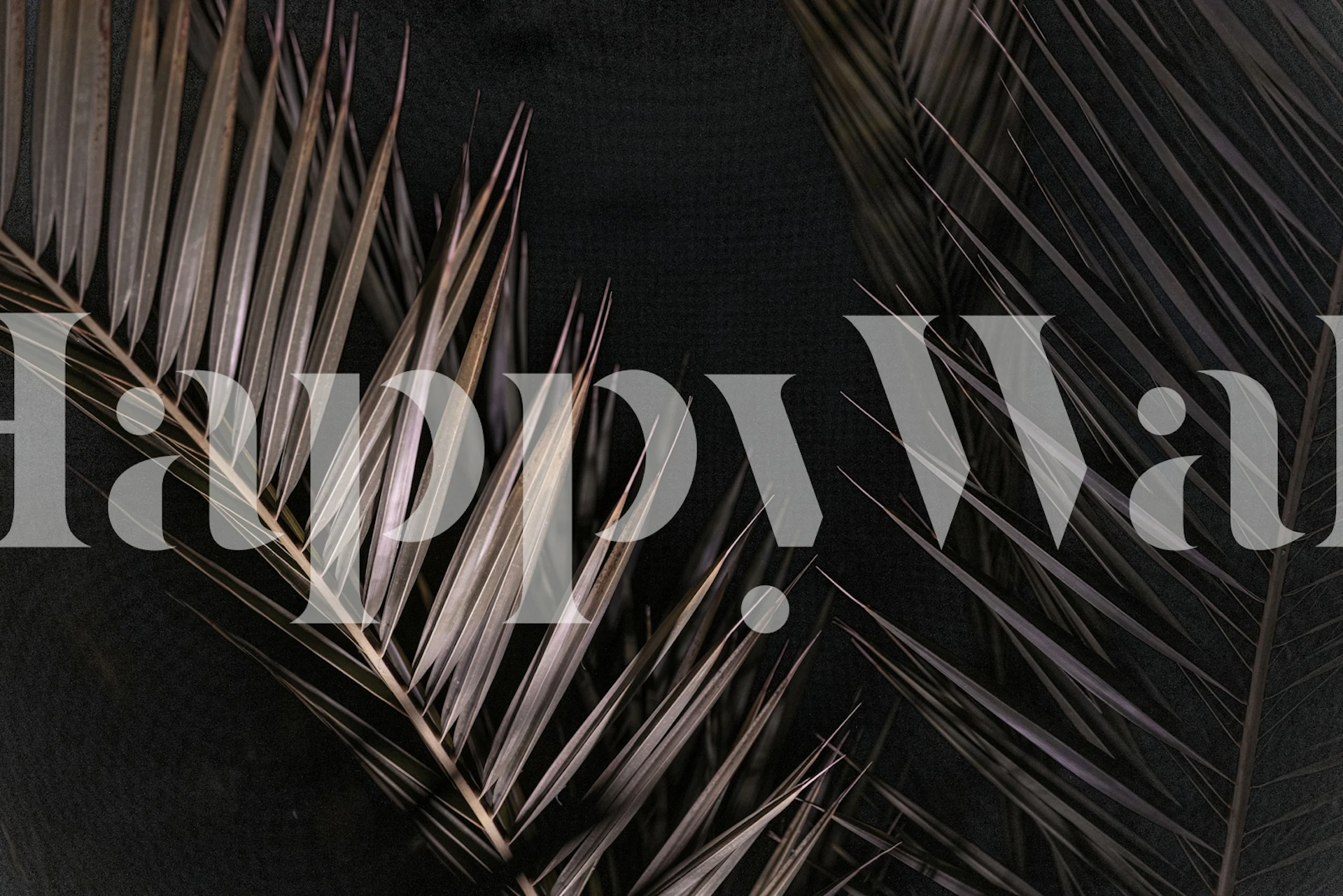 Palms in the Night 5 wallpaper design