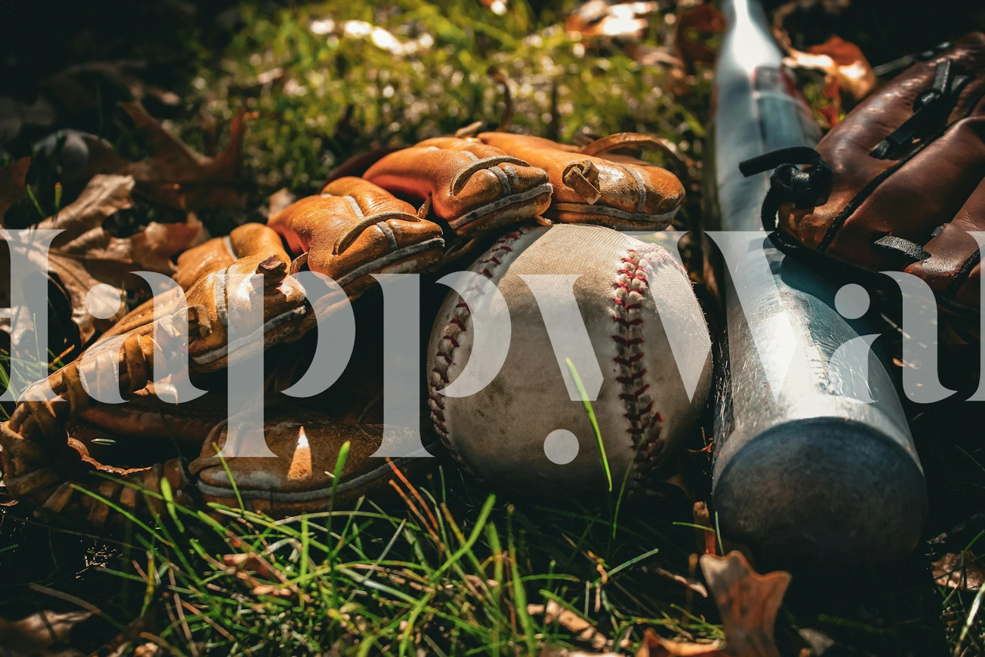 Play Ball tapeta s pálkou a rukavicí