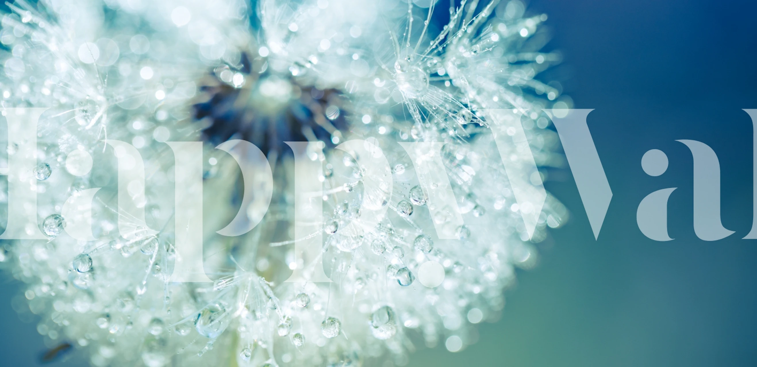 Bokeh Dandelion Delight wallpaper in a room