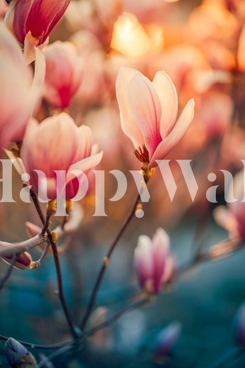 Romantic Magnolia Flowers wallpaper in a room