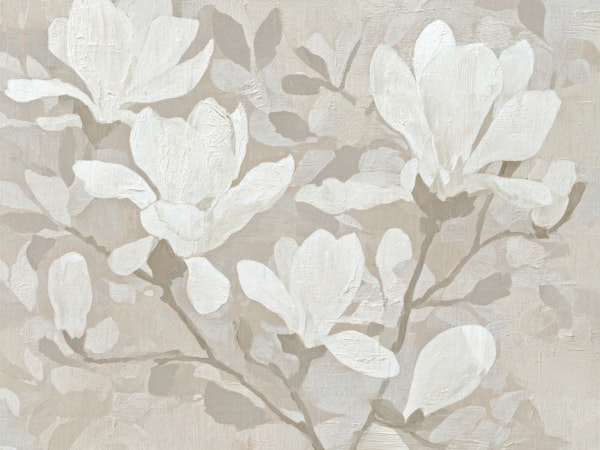 Neutral Magnolia Blossoms