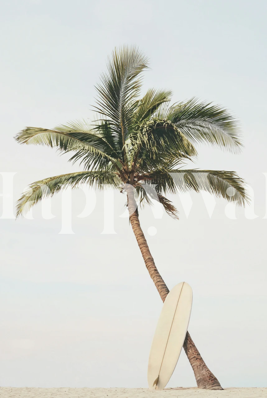 Tropical palm tree and surfboard wallpaper