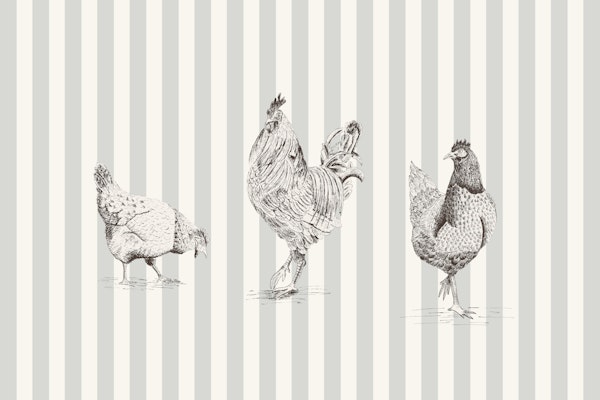 Chickens and rooster on stripes - light gray