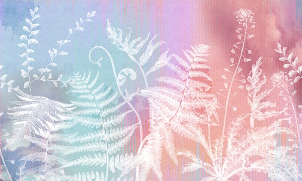 Forest 6