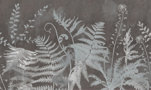 Forest 5