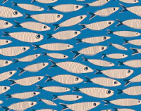 Small Sardines Swimming Fish - MidMod Blue wallpaper