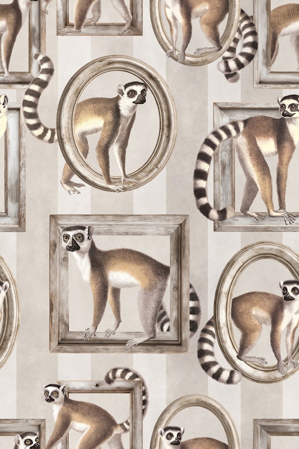 Framed Lemur Monkey Gallery