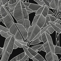 Banana Palms White Lines wallpaper