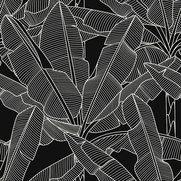 Banana Palms White Lines