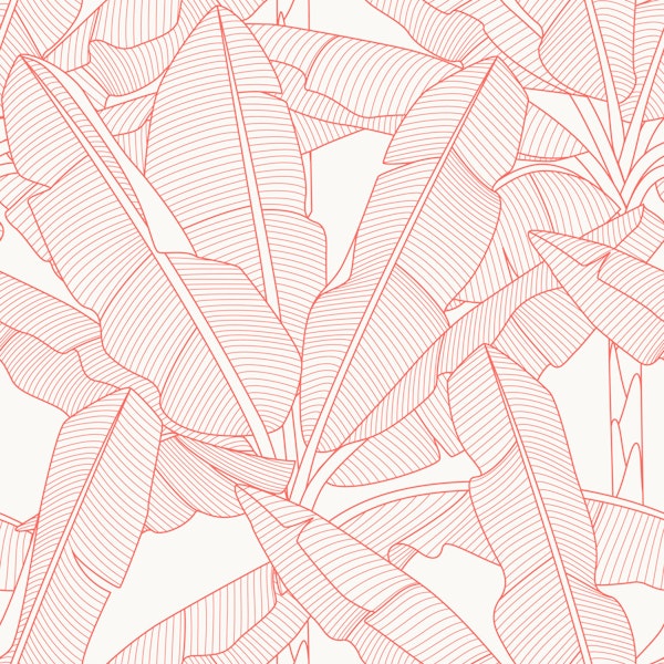Banana Palms Coral Lines