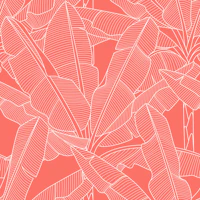 Banana Palms White Lines Coral wallpaper